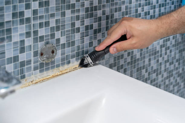 Best Certified Mold Removal  in Stroudsburg, PA